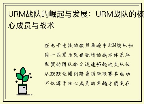 URM战队的崛起与发展：URM战队的核心成员与战术